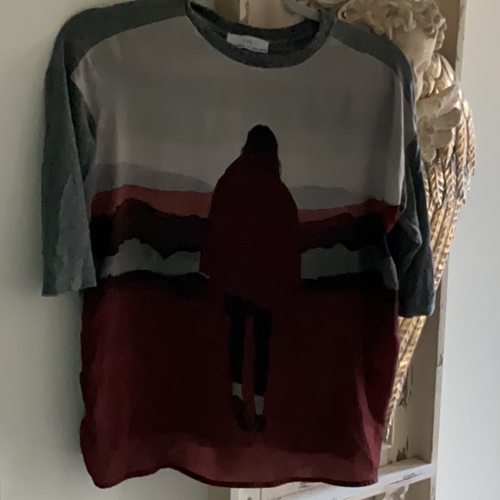 Zara Multicolor Graphic Short Sleeve Tee